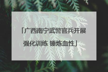 广西南宁武警官兵开展强化训练 锤炼血性