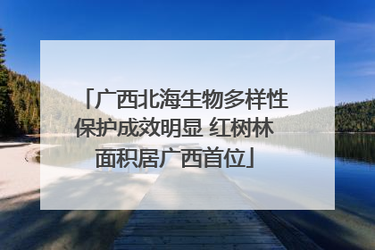 广西北海生物多样性保护成效明显 红树林面积居广西首位