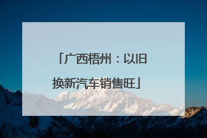 广西梧州：以旧换新汽车销售旺