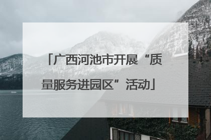 广西河池市开展“质量服务进园区”活动