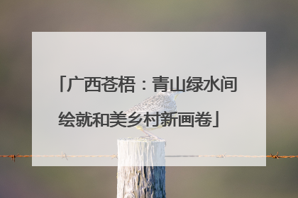广西苍梧：青山绿水间绘就和美乡村新画卷