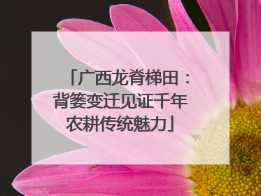广西龙脊梯田：背篓变迁见证千年农耕传统魅力