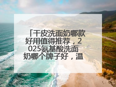 干皮洗面奶哪款好用值得推荐，2025氨基酸洗面奶哪个牌子好，温和在线