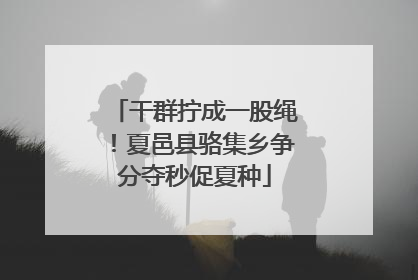 干群拧成一股绳！夏邑县骆集乡争分夺秒促夏种