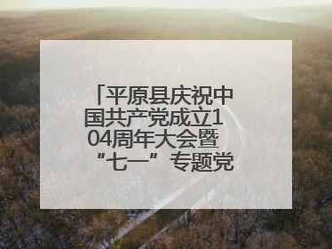平原县庆祝中国共产党成立104周年大会暨“七一”专题党课报告会召开