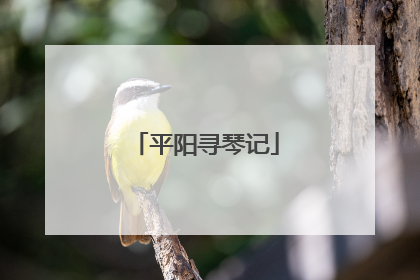 平阳寻琴记