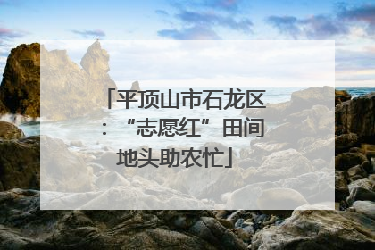 平顶山市石龙区：“志愿红”田间地头助农忙