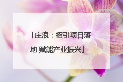 庄浪：招引项目落地 赋能产业振兴