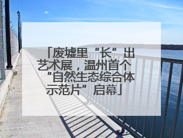 废墟里“长”出艺术展，温州首个“自然生态综合体示范片”启幕