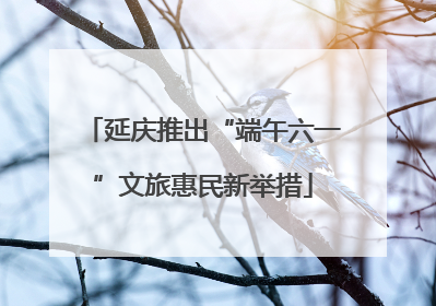 延庆推出“端午六一”文旅惠民新举措