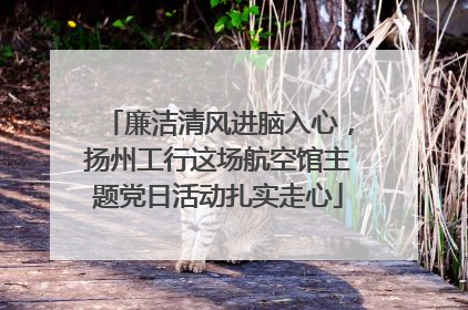 廉洁清风进脑入心，扬州工行这场航空馆主题党日活动扎实走心