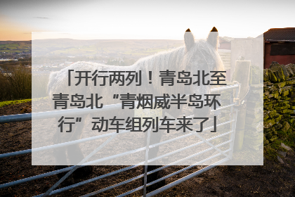 开行两列！青岛北至青岛北“青烟威半岛环行”动车组列车来了