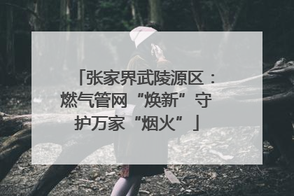 张家界武陵源区：燃气管网“焕新”守护万家“烟火”
