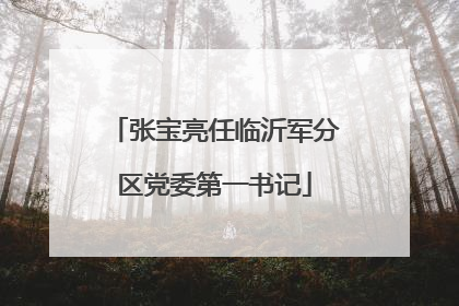 张宝亮任临沂军分区党委第一书记