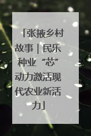张掖乡村故事｜民乐种业“芯”动力激活现代农业新活力