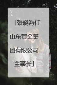 张晓海任山东黄金集团有限公司董事长