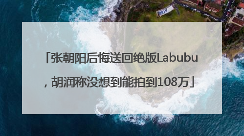 张朝阳后悔送回绝版Labubu，胡润称没想到能拍到108万