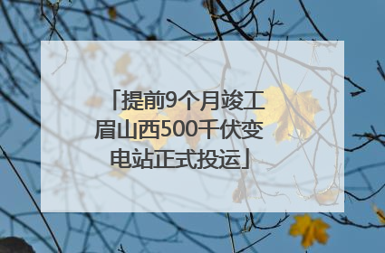 提前9个月竣工 眉山西500千伏变电站正式投运