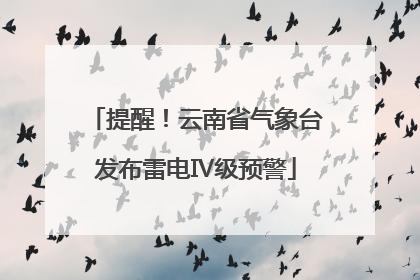 提醒！云南省气象台发布雷电Ⅳ级预警