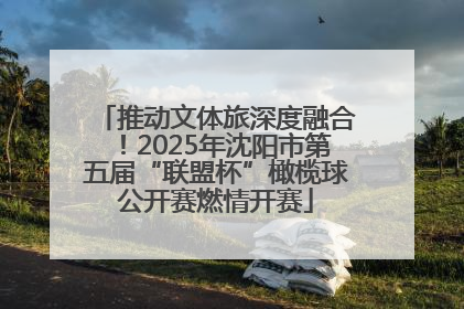 推动文体旅深度融合！2025年沈阳市第五届“联盟杯”橄榄球公开赛燃情开赛