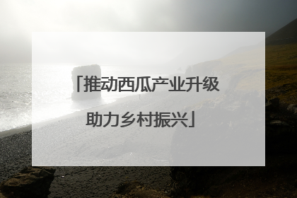 推动西瓜产业升级 助力乡村振兴