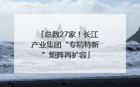 总数27家！长江产业集团“专精特新”矩阵再扩容