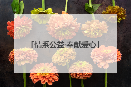 情系公益·奉献爱心