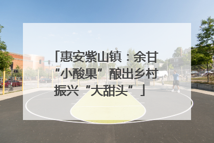 惠安紫山镇：余甘“小酸果”酿出乡村振兴“大甜头”