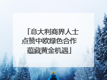 意大利商界人士点赞中欧绿色合作蕴藏黄金机遇
