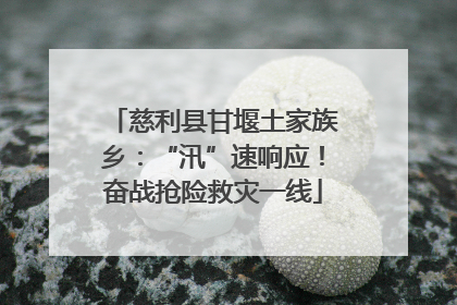 慈利县甘堰土家族乡：“汛”速响应！奋战抢险救灾一线