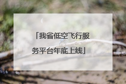 我省低空飞行服务平台年底上线