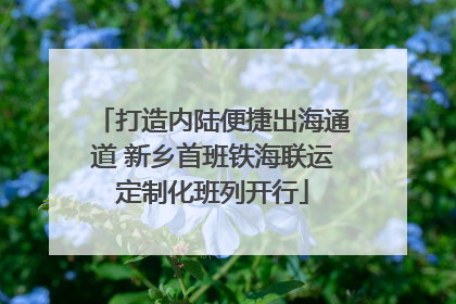 打造内陆便捷出海通道 新乡首班铁海联运定制化班列开行