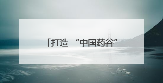 打造 “中国药谷”，驻马店市市长诚邀长三角高精尖企业入驻