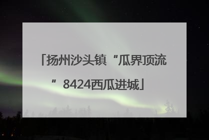 扬州沙头镇“瓜界顶流”8424西瓜进城