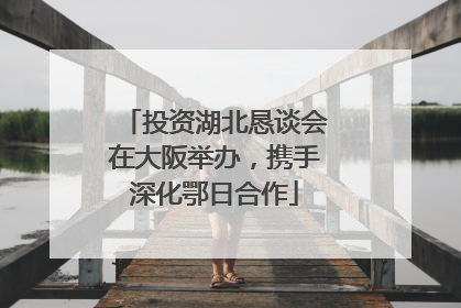 投资湖北恳谈会在大阪举办，携手深化鄂日合作