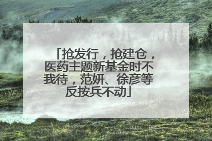 抢发行，抢建仓，医药主题新基金时不我待，范妍、徐彦等反按兵不动