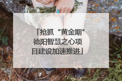 抢抓“黄金期” 德阳智慧之心项目建设加速推进