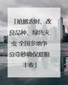 抢抓农时、改良品种、绿色灭虫 全国多地争分夺秒确保夏粮丰收