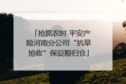抢抓农时 平安产险河南分公司“抗旱抢收”保夏粮归仓