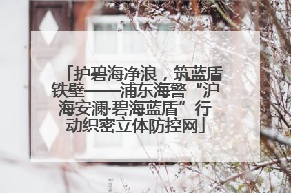 护碧海净浪，筑蓝盾铁壁——浦东海警“沪海安澜·碧海蓝盾”行动织密立体防控网