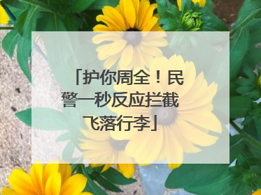护你周全！民警一秒反应拦截飞落行李