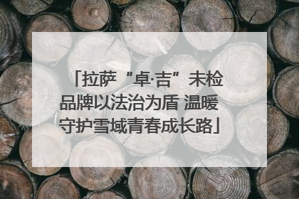 拉萨“卓·吉”未检品牌以法治为盾 温暖守护雪域青春成长路