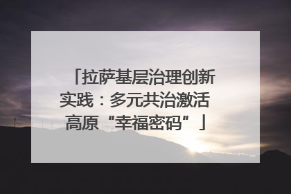 拉萨基层治理创新实践：多元共治激活高原“幸福密码”