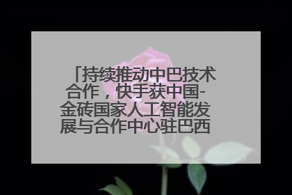 持续推动中巴技术合作，快手获中国-金砖国家人工智能发展与合作中心驻巴西成果转化中心授牌