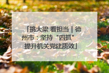 挑大梁 看担当｜德州市：坚持“四抓” 提升机关党建质效