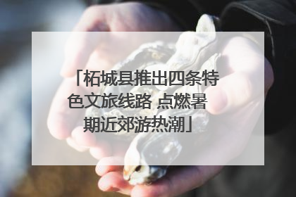 柘城县推出四条特色文旅线路 点燃暑期近郊游热潮