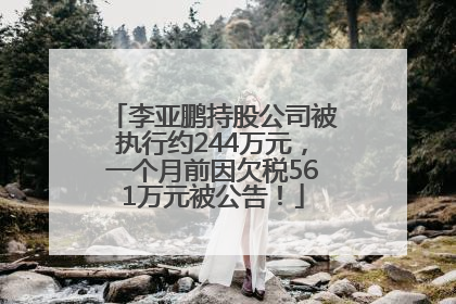 李亚鹏持股公司被执行约244万元，一个月前因欠税561万元被公告！