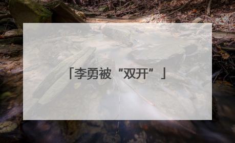 李勇被“双开”