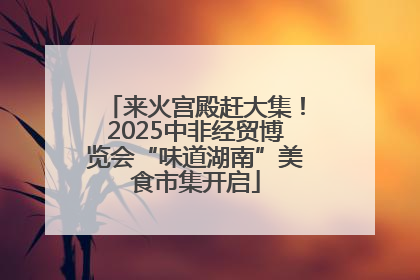 来火宫殿赶大集！2025中非经贸博览会“味道湖南”美食市集开启