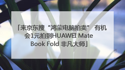 来京东搜“鸿蒙电脑拍卖” 有机会1元拍到HUAWEI MateBook Fold 非凡大师